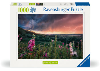 Rburg - Power Of Nature 1 Puzzle 1000p - Modern Brands Australia