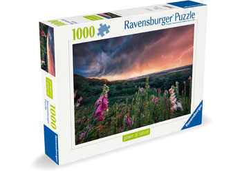 Rburg - Power Of Nature 1 Puzzle 1000p - Modern Brands Australia