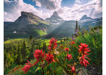 Rburg - WT: Landscape 2000p - Modern Brands Australia