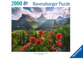 Rburg - WT: Landscape 2000p - Modern Brands Australia