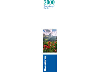 Rburg - WT: Landscape 2000p - Modern Brands Australia