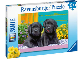 Rburg - Puppy Life Puzzle 300p - Modern Brands Australia