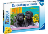 Rburg - Puppy Life Puzzle 300p - Modern Brands Australia