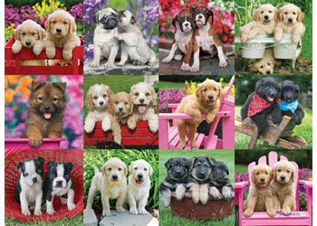 Rburg - Puppy Pals 500p - Modern Brands Australia