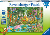 Rburg - Rainforest River Band 100p - Modern Brands Australia