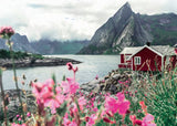 Rburg - Reine  Lofoten  Norway WT 1000p - Modern Brands Australia