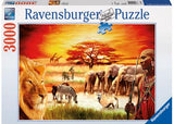 Rburg - Proud Maasai Puzzle 3000p - Modern Brands Australia
