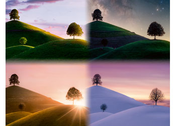 Rburg - Atmospheric trees and mountains 2000p - Modern Brands Australia