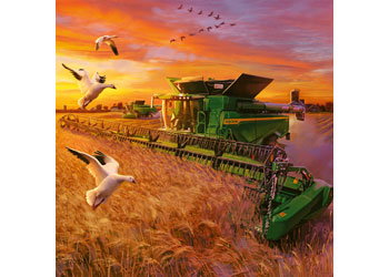 Rburg - Seasons of John Deere Puzzle 3x49p - Modern Brands Australia