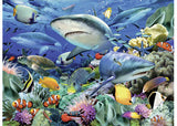 Rburg - Reef of the Sharks Puzzle 100p - Modern Brands Australia