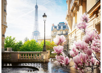 Rburg - Springtime in Paris 500p - Modern Brands Australia