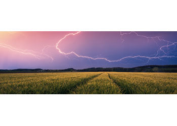 Rburg - Summer Thunderstorm 500p - Modern Brands Australia