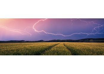 Rburg - Summer Thunderstorm 500p - Modern Brands Australia