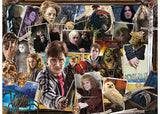 Rburg - The World of Harry Potter 2x500p - Modern Brands Australia