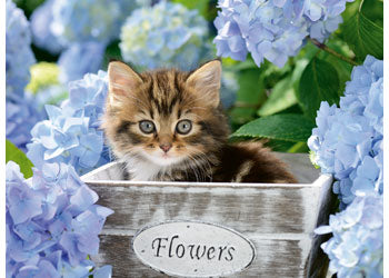 Rburg - Tortoiseshell Kitty 300p - Modern Brands Australia