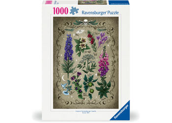 Rburg - Barcelona Dali House Puzzle 1000p - Modern Brands Australia