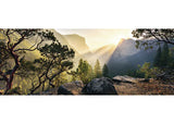 Rburg - Yosemite Park Puzzle 1000p - Modern Brands Australia