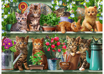 Rburg - Cats on the Shelf Puzzle 500p - Modern Brands Australia