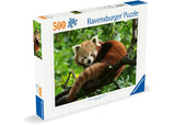 Rburg - Cute Red Panda 500p - Modern Brands Australia