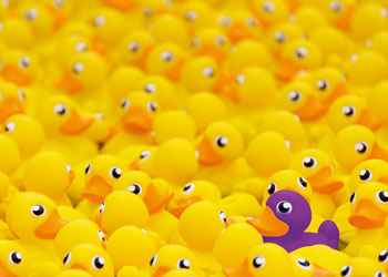 Rburg - Rubber ducks 1000p - Modern Brands Australia