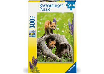 Rburg - Cheeky Foxes 300p - Modern Brands Australia
