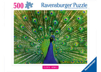 Rburg - Peacock 500p - Modern Brands Australia