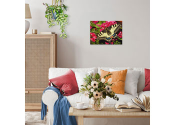 Rburg - Butterfly 500p - Modern Brands Australia