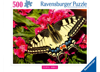 Rburg - Butterfly 500p - Modern Brands Australia