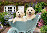 Ravensburger - Golden Retriever Puzzle 200 Pieces