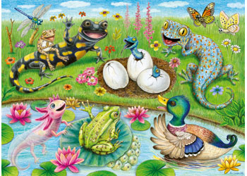 Rburg - Hello Hatchlings 60p - Modern Brands Australia