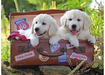 Ravensburger - Travelling Puppies Puzzle 100p - Modern Brands Australia