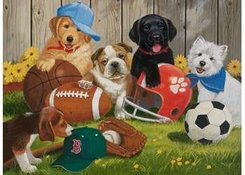 Rburg - Lets Play Ball Puzzle 200p - Modern Brands Australia