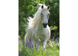 Rburg - Horse in Flowers Puzzle 100p - Modern Brands Australia