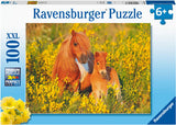 Rburg - Shetland Ponies 100pc - Modern Brands Australia