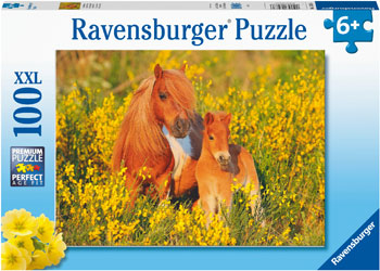 Rburg - Shetland Ponies 100pc - Modern Brands Australia