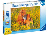 Rburg - Shetland Ponies 100pc - Modern Brands Australia