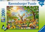Rburg - Wonderful Wilderness 200p - Modern Brands Australia