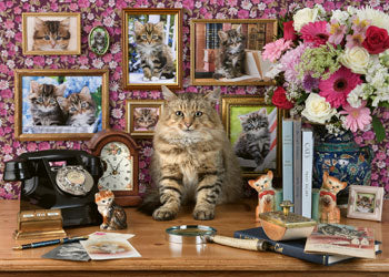 Rburg - My Cute Kitty 1000p - Modern Brands Australia