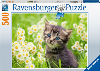 Rburg - Kitten in the Meadow 500p - Modern Brands Australia