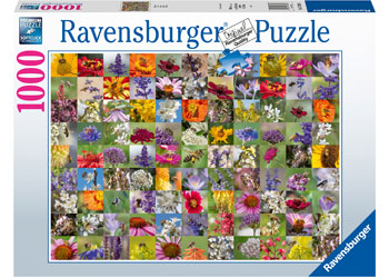 Rburg - 99 Bees 1000p - Modern Brands Australia