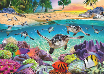 Rburg - Race of the Baby Sea Turtles LF500p - Modern Brands Australia