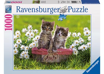 Rburg - Picnic in the Meadow Puzzle 1000p - Modern Brands Australia
