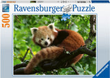 Rburg - Cute Red Panda 500p - Modern Brands Australia