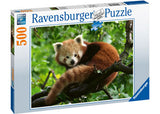 Rburg - Cute Red Panda 500p - Modern Brands Australia