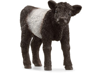 Schleich - Galloway Calf - Modern Brands Australia