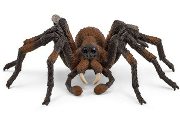 Schleich - Wizarding World Aragog - Modern Brands Australia