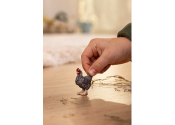 Schleich - Plymouth Rock Chicken - Modern Brands Australia