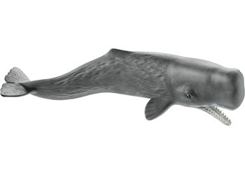 Schleich - Sperm Whale - Modern Brands Australia