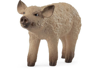 Schleich - Mangalica Piglet - Modern Brands Australia