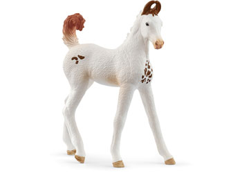 Schleich - Marwari Foal - Modern Brands Australia